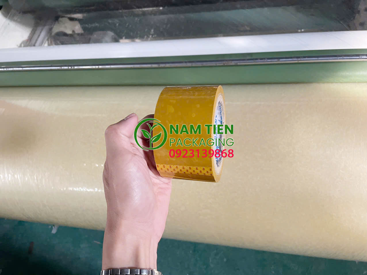Cập Nhật Giá Băng Keo Mới Nhất 2026